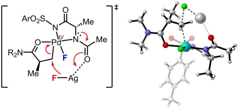Scientists Develop a One-Step Method to Precisely Add Fluorine to Drug Molecules