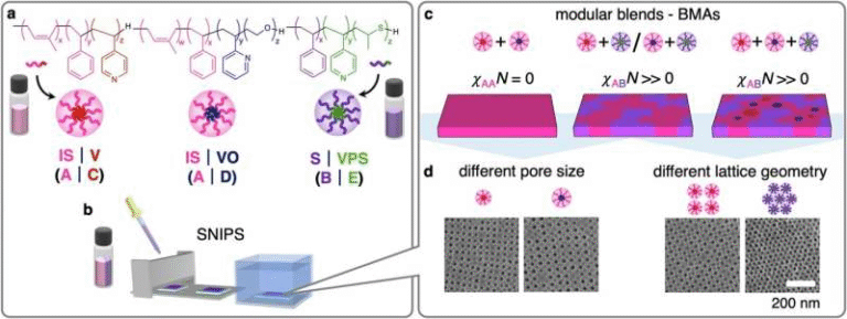 Machine Learning Helps Create New Ultrafiltration Membranes That Sort Molecules by Chemical Affinity