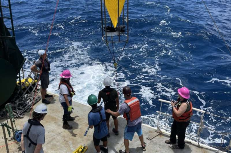 Scientists Finally Explain the Massive Phytoplankton Blooms That Appear Every Summer North of Hawai‘i