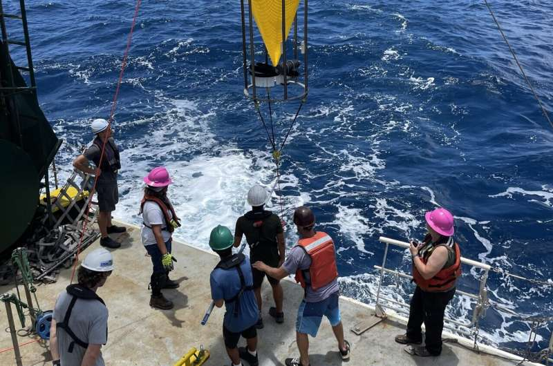 Scientists Finally Explain the Massive Phytoplankton Blooms That Appear Every Summer North of Hawai‘i
