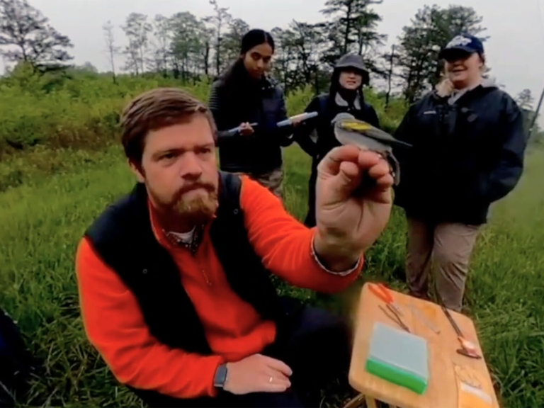 Bird Researchers Are Using Virtual Reality to Bring Real Fieldwork Experience Into the Classroom