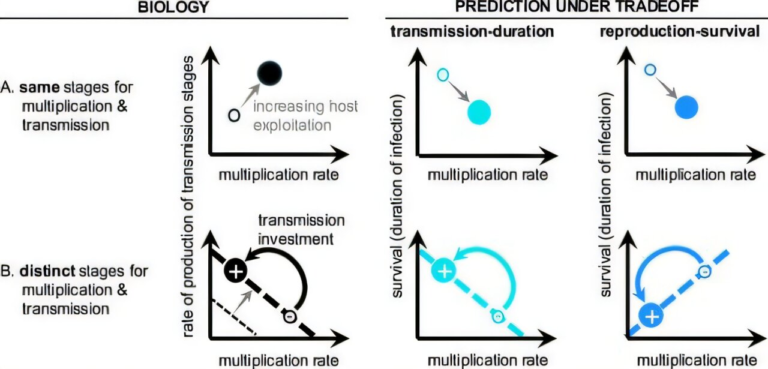 New Research Explains Why Malaria Parasites Are Forced to Limit the Damage They Cause to Humans