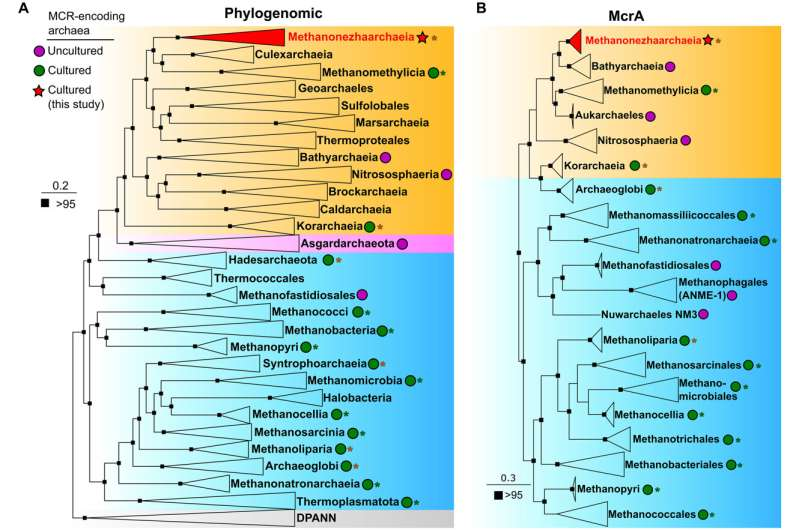 Newly Discovered Microbes Are Forcing Scientists to Rethink How Methane Is Produced in Nature