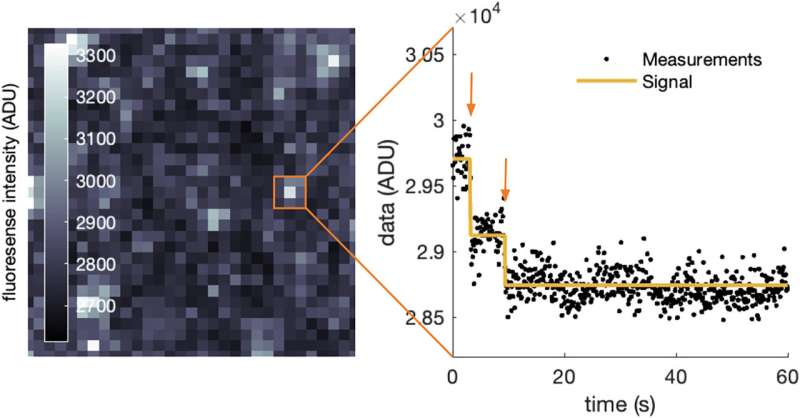 University of Tennessee Researchers Develop a Powerful New Statistical Method for Single-Molecule Fluorescence Analysis