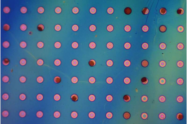 A Breakthrough Gas-Blocking Polymer Film Could Transform Electronics, Packaging, and Infrastructure