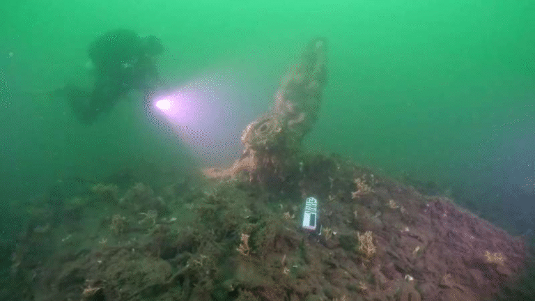 Texas A&M Researchers Identify Long-Lost WW2 B-17 Bomber in the Baltic Sea
