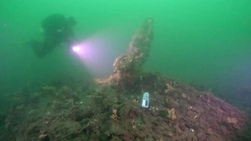 Texas A&M Researchers Identify Long-Lost WW2 B-17 Bomber in the Baltic Sea