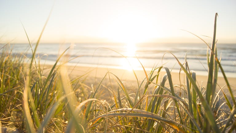 Peaceful sunrise view from grassy dunes on an Australian beach, capturing the ocean's horizon.