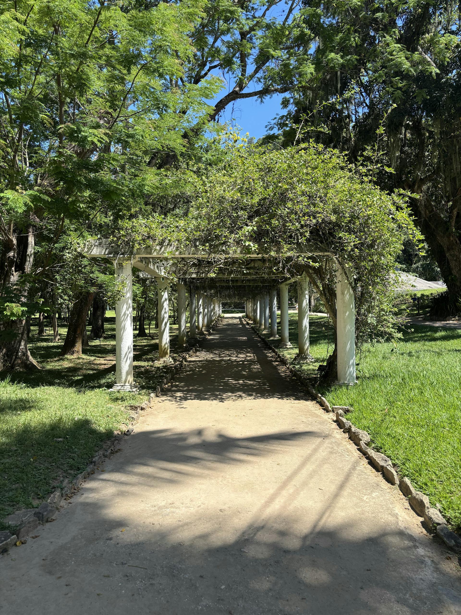 Urban Areas Insurance Feasibility and Structure Explored in a New Report