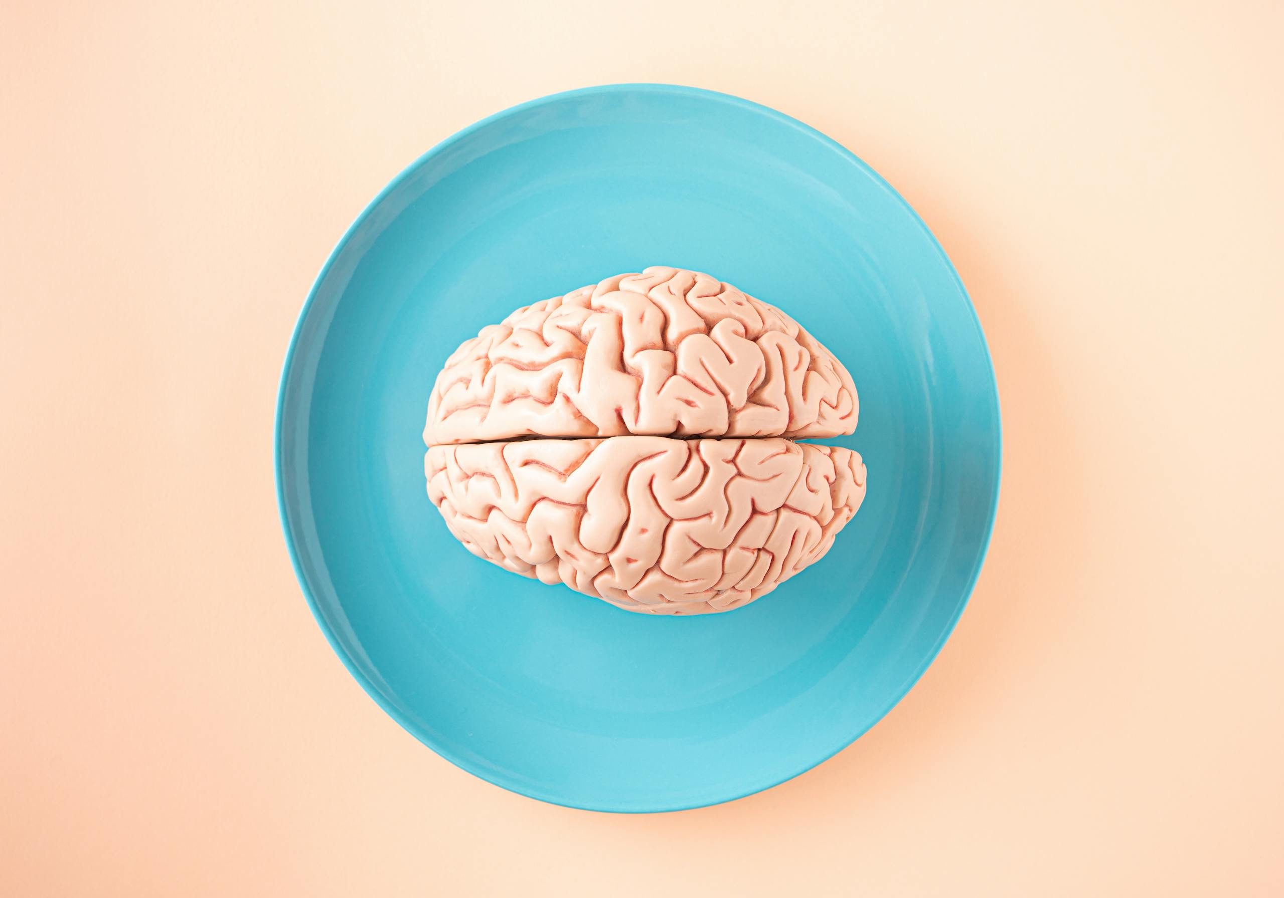 A human brain model placed on a blue plate, viewed from above against a pastel background.