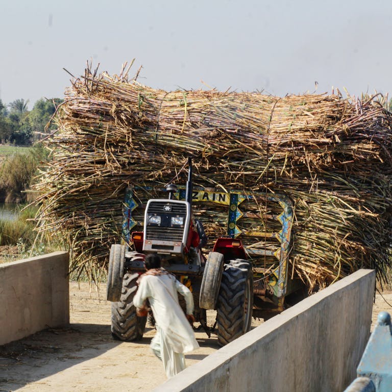 A tractor loaded with sugarcane on a rural road in Mehmood Kot, Punjab, Pakistan.