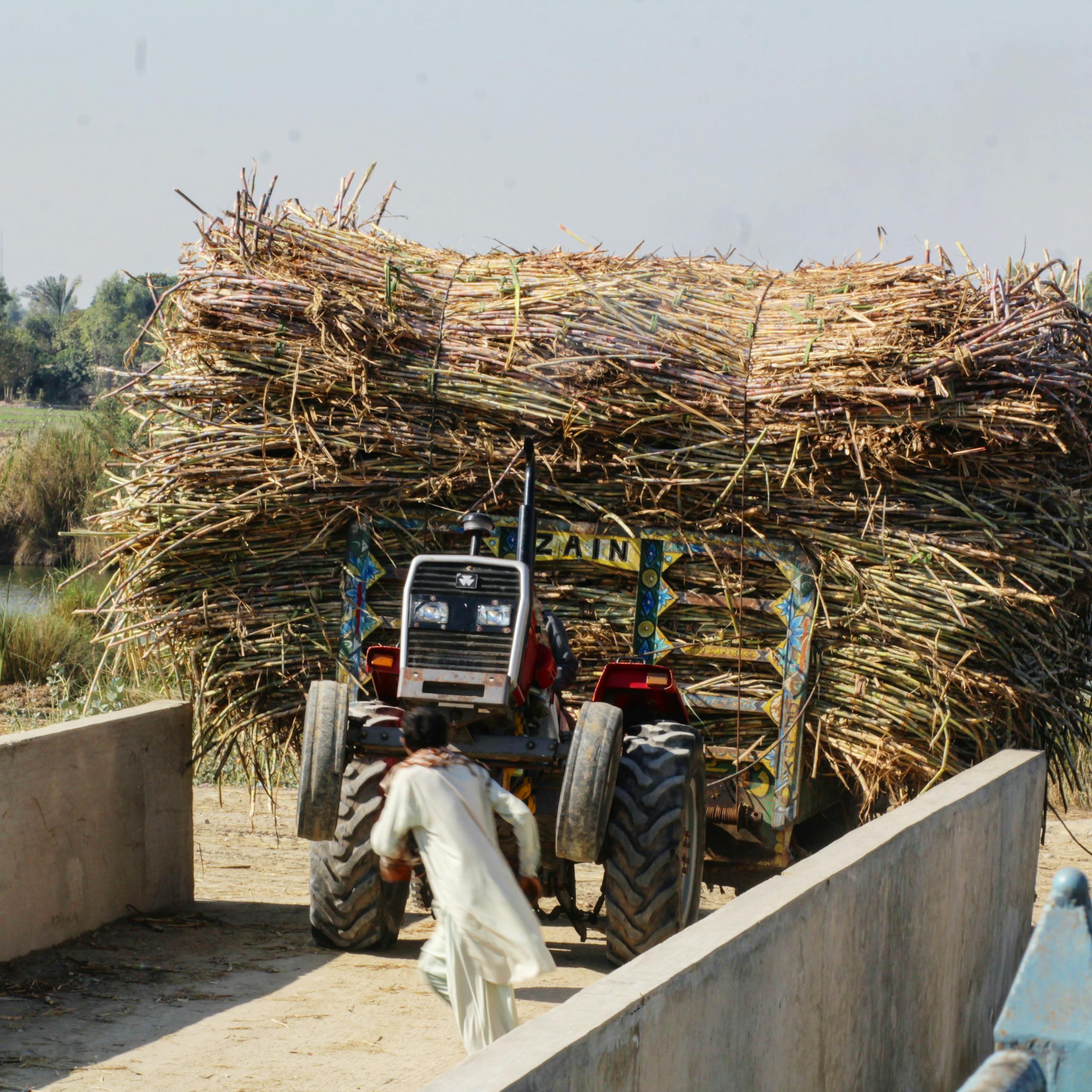 A tractor loaded with sugarcane on a rural road in Mehmood Kot, Punjab, Pakistan.