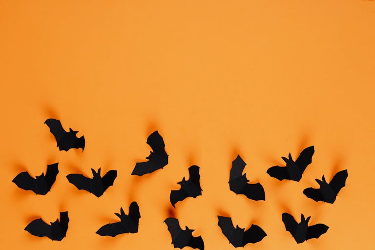 Creative paper bats on a bright orange background, perfect for Halloween themes.