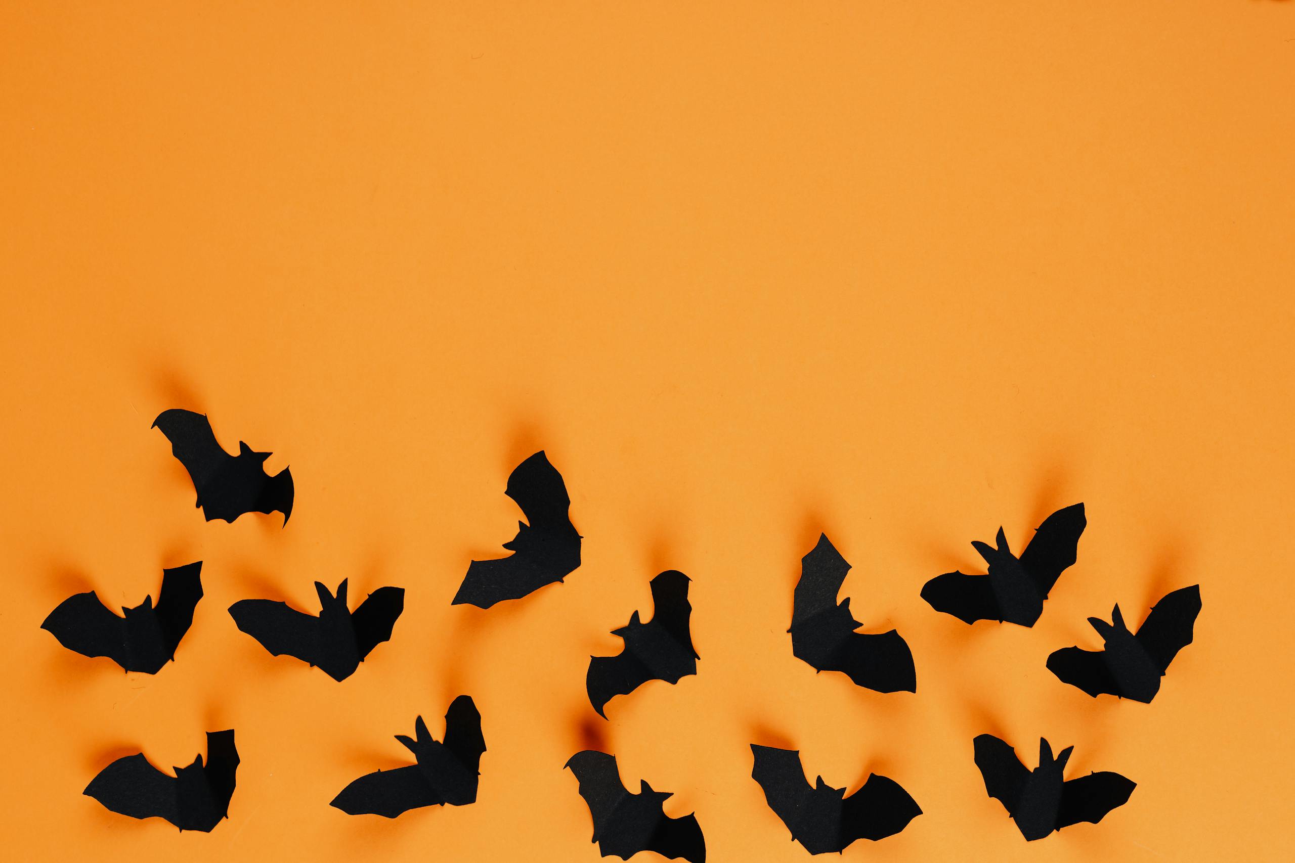 Creative paper bats on a bright orange background, perfect for Halloween themes.