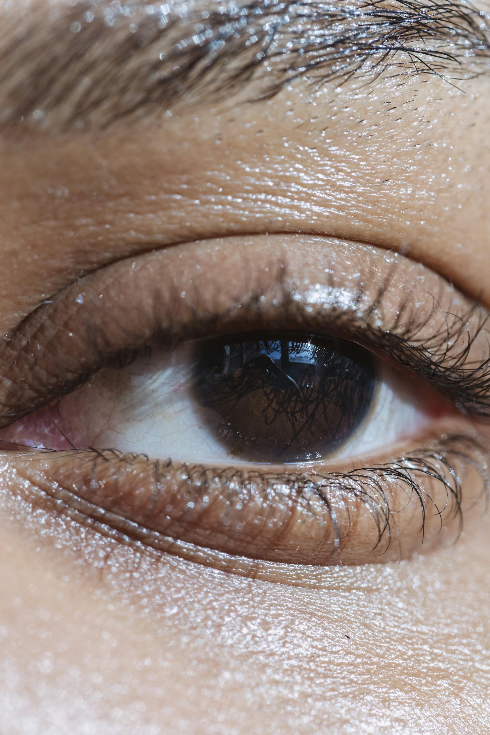 Detailed close-up of a brown eye showing eyelashes, iris, and skin texture.