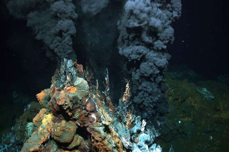 The Metabolic Cost of Life Shows How Cells Pay Hidden Energy Prices to Keep Biology on Track