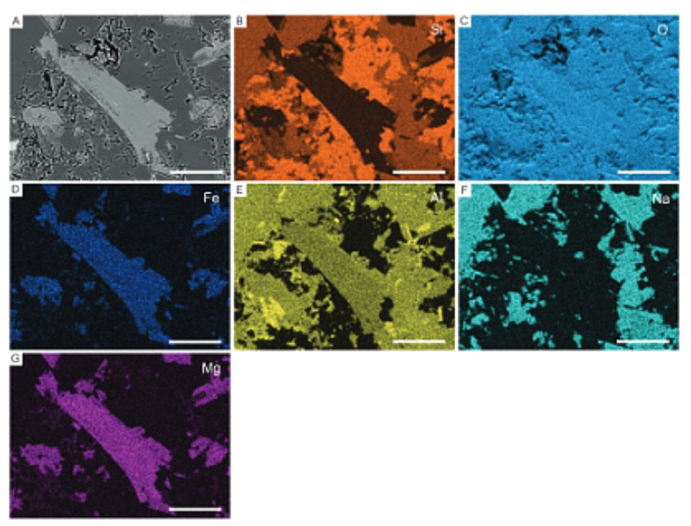 How Strange Ancient Sea Creatures Became Some of the Best-Preserved Fossils on Earth