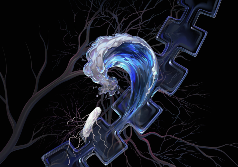 How E. coli Use Fluid Flow and Channel Design to Swim Upstream and Trigger Infections