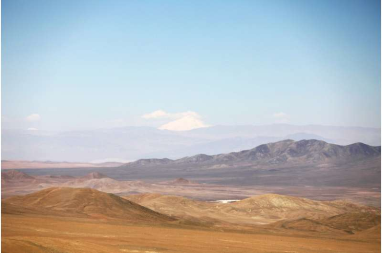 Organisms in the Atacama Desert Soil Are Remarkably Diverse, New Study Reveals