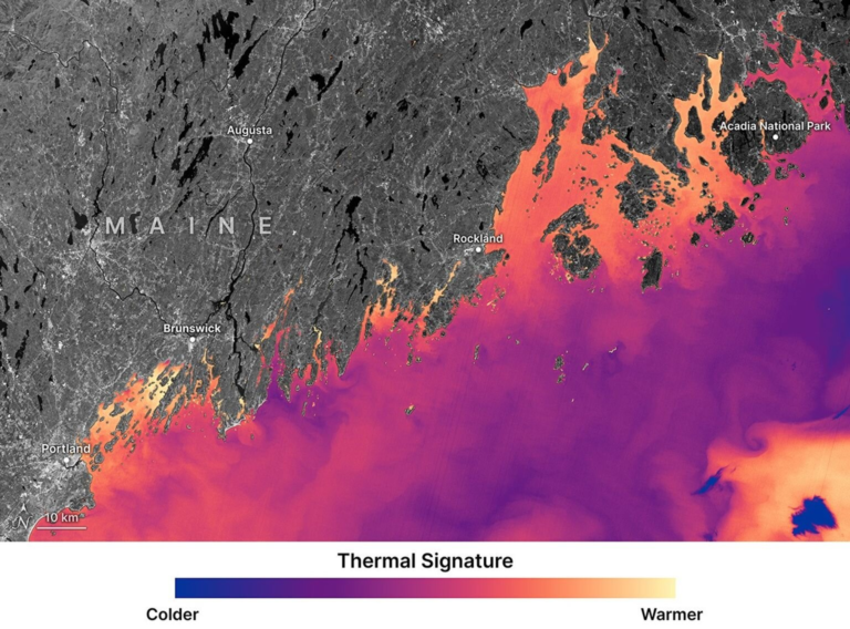 NASA Data Helps Maine Oyster Farmers Choose the Best Places to Grow Shellfish