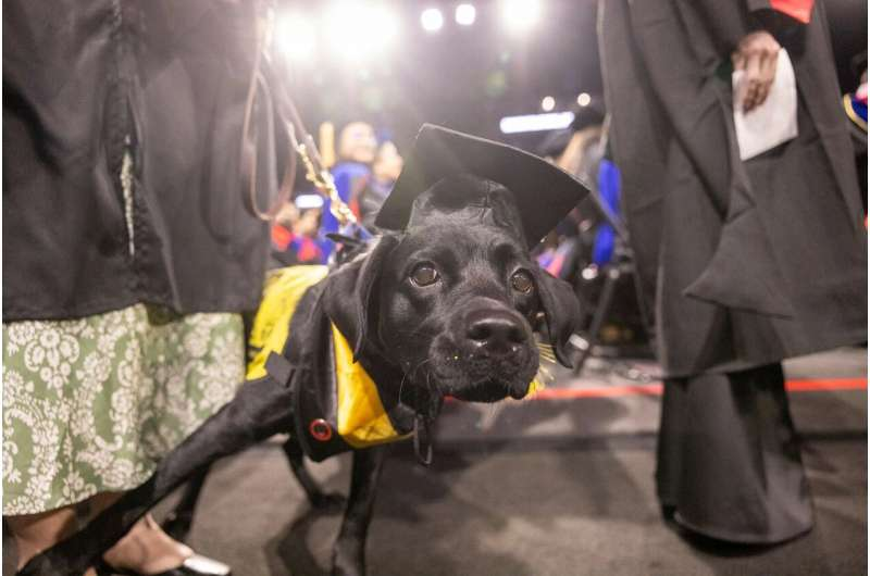 All Ears New Study Reveals What Really Determines Ear Length in Dogs