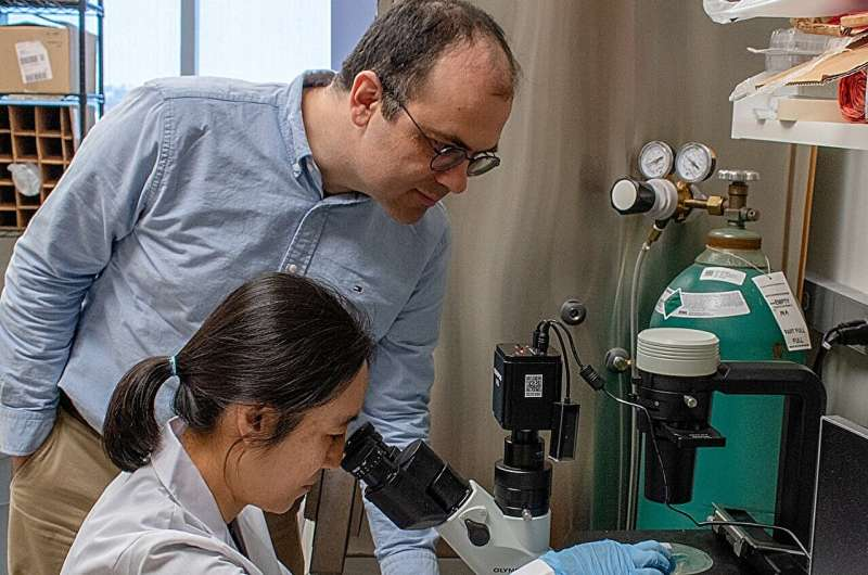 Losing the Ability to Make Vitamin C May Protect Animals From a Deadly Parasitic Disease