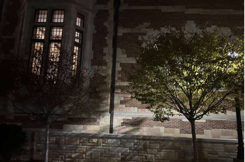 Artificial Light at Night Is Quietly Extending Pollen Seasons and Increasing Allergy Risks in Cities