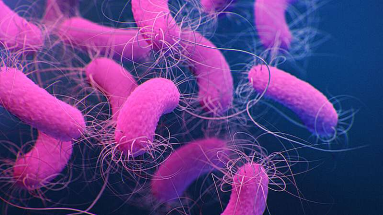 How Light Suppresses Virulence in an Antibiotic-Resistant Pathogen