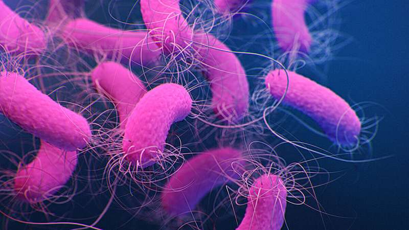 How Light Suppresses Virulence in an Antibiotic-Resistant Pathogen