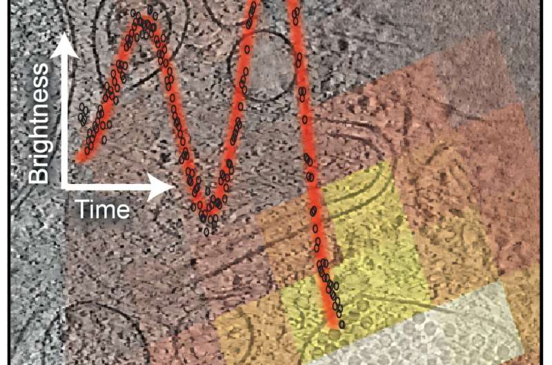 Tightening the Focus of Subcellular Snapshots With a Smarter Way to Prepare Cell Slices for CryoET Imaging