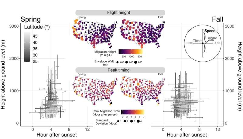 Radar Research Reveals the Sky Is a Vast, Organized Ecosystem Full of Life