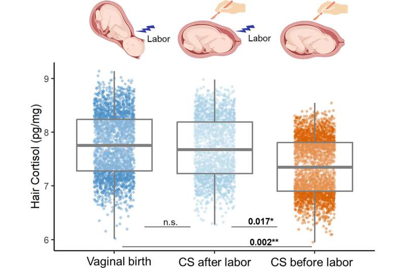 Elective C-Sections Are Linked to Lower Childhood Cortisol Levels, Raising New Questions About the Role of Labor