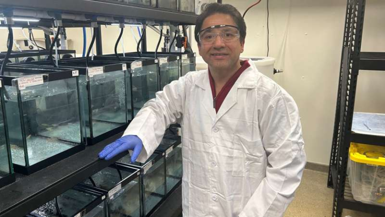 Vitamin C May Help Protect Fertility From a Harmful Environmental Chemical