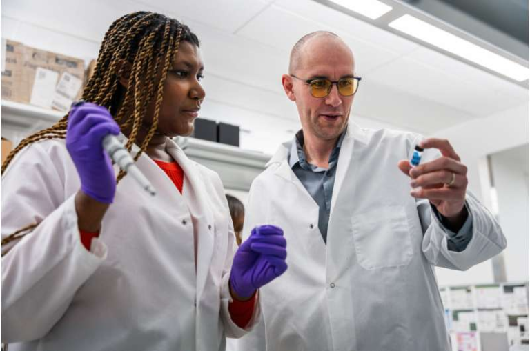 Suppressing Postoperative Inflammation May Prolong Pain Instead of Reducing It