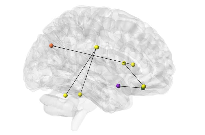 Getting a Grip on Aging as Scientists Identify a Brain Region Closely Linked to Frailty