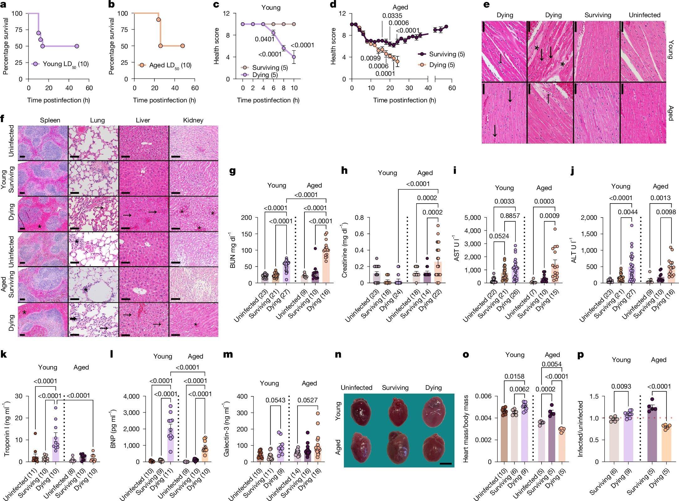 Age-Specific Treatments for the Same Infection May Become Essential as Antibiotic Resistance Worsens