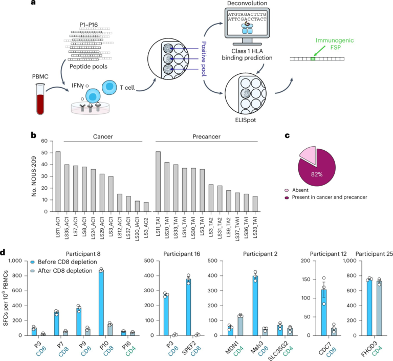 Immune-Targeting Vaccine Shows Promise in Stopping Cancer Early in People With Lynch Syndrome