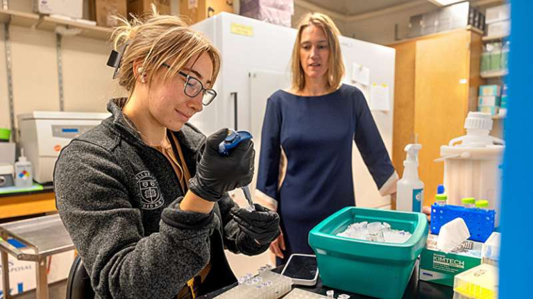 Vitamin B12 Clues on Cellular Metabolism Offer Hope for New Therapies