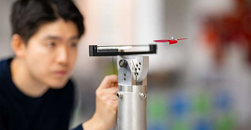 Grasshopper Wings Inspire a New Generation of Energy-Efficient Gliding Robots