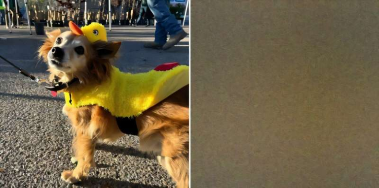 Discrete Spatial Diffusion Models Bring Scientific Rules Into Generative AI Workflows