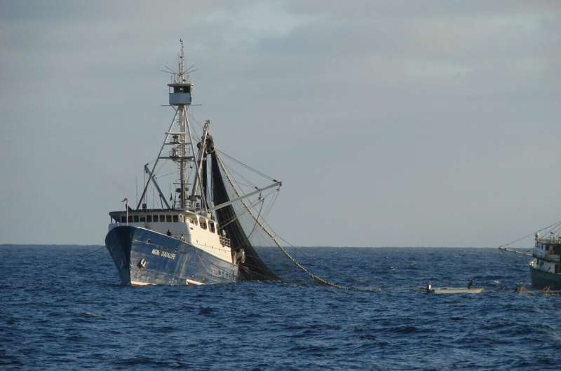 How Tracking Fishing Fleets Is Helping Scientists Detect Shifts in Marine Ecosystems