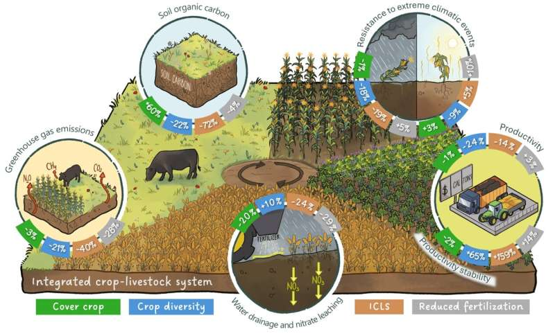 Diversifying US Midwest Farming Can Boost Stability, Profits, and Environmental Resilience