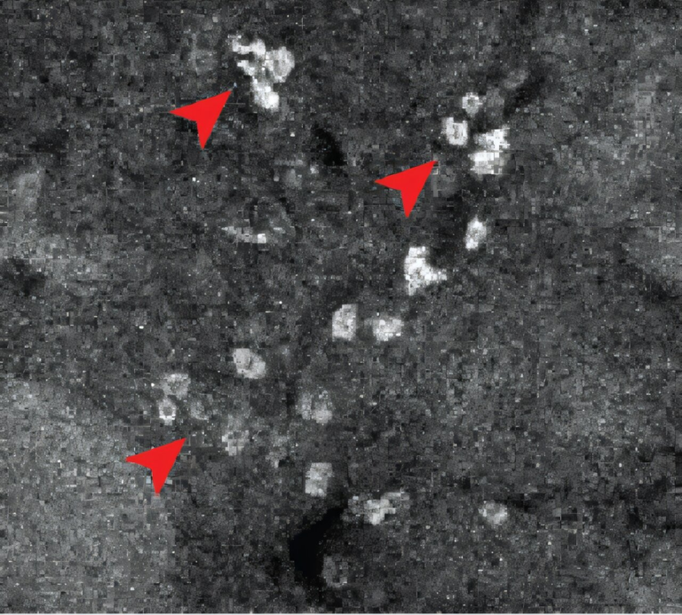 New Technique Lights Up Where Drugs Go in the Body Cell by Cell