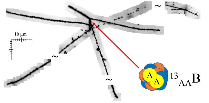 AI Uncovers a New Double-Lambda Hypernucleus and Opens a Rare Window Into Nuclear Matter