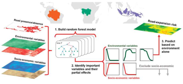 New Predictive Tool Maps Future Road Expansion, Deforestation and Disease Hotspots in Tropical Forests