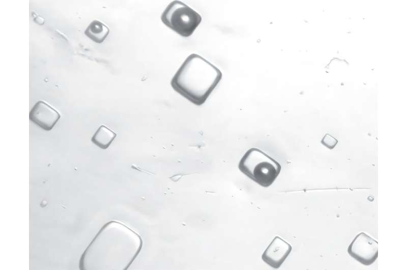 Scientists Crack Ancient Salt Crystals to Reveal the Composition of 1.4-Billion-Year-Old Air