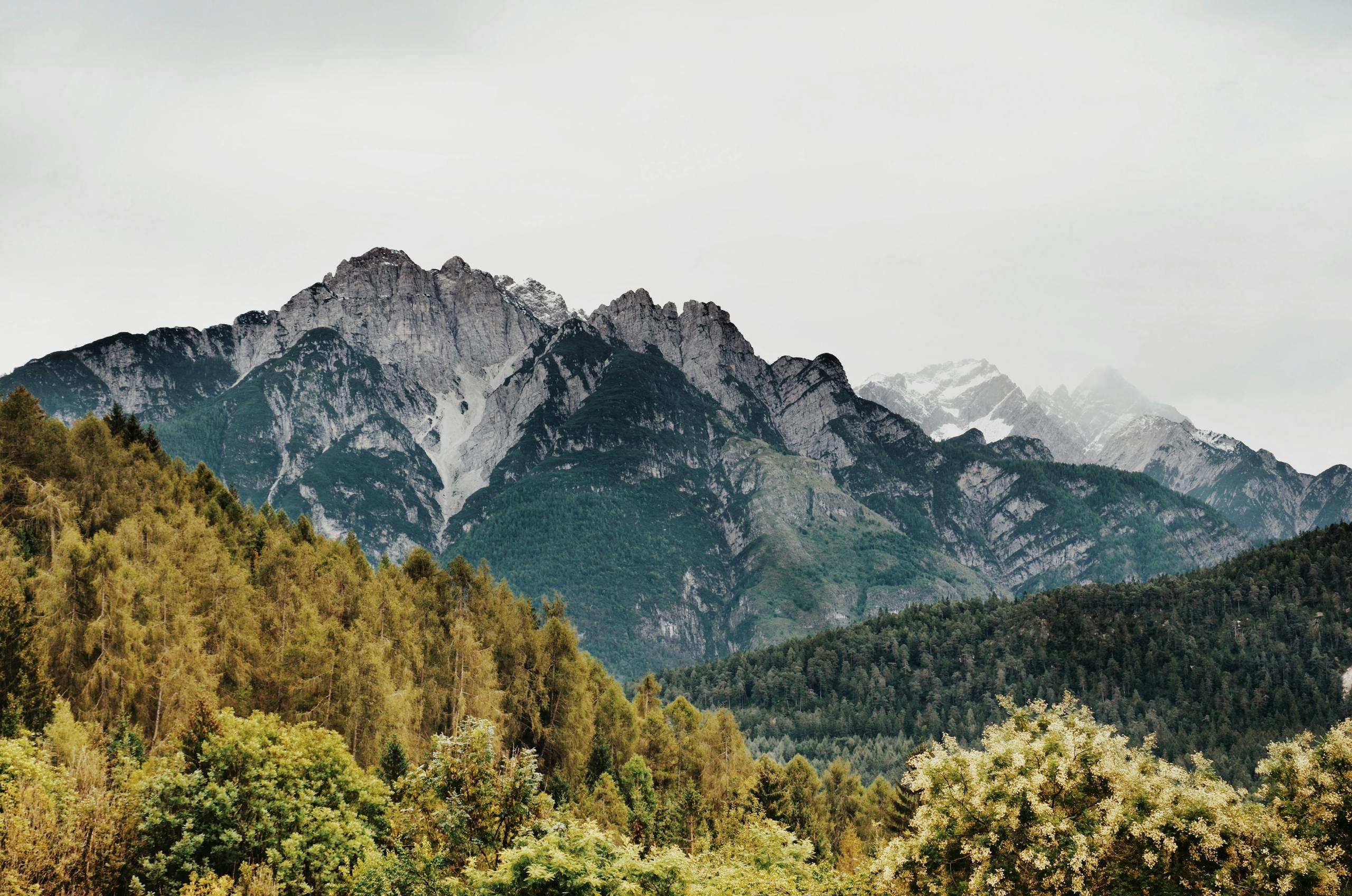 Captivating view of rocky mountains with dense green forest in the foreground, a perfect nature scene.