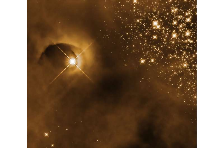 Protostars Carve Out Homes in the Orion Molecular Cloud