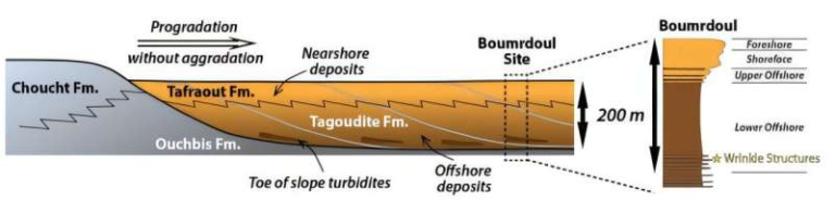 Signs of Ancient Life Turn Up in an Unexpected Place Deep Beneath the Seafloor