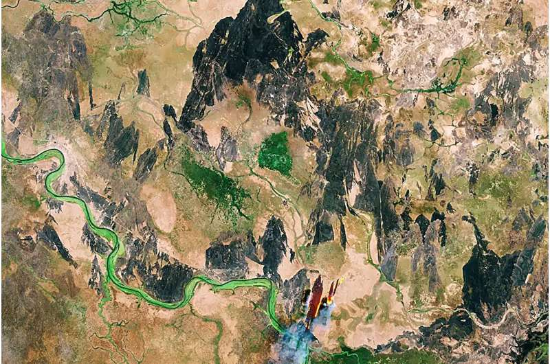 Major Gaps in Global Satellite Forest Maps Are Raising Serious Policy Concerns Worldwide